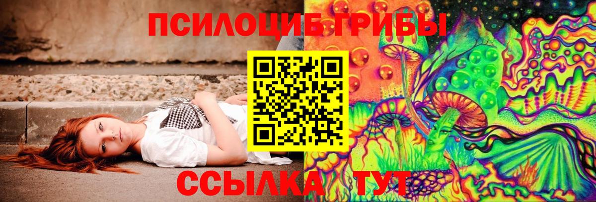 хочу   Вход с VPN  Вязники  Псилоцибиновые грибы GOLDEN TEACHER 