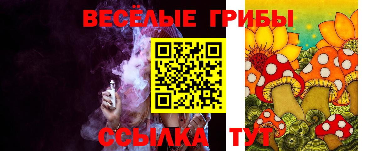 Псилоцибиновые грибы GOLDEN TEACHER Вязники